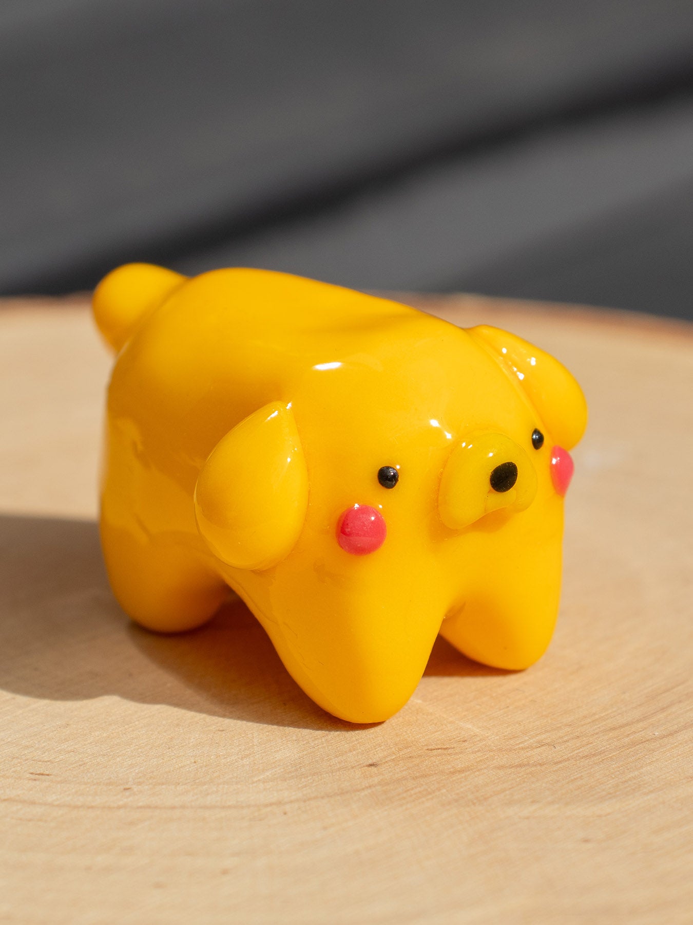 jakub the adventure dog