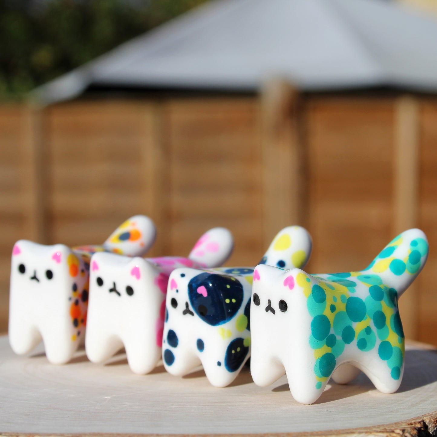 tiny kitter with a BIG PERSONALITY