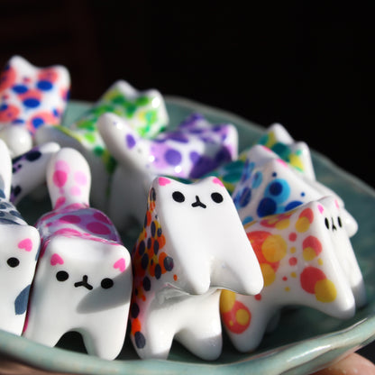 tiny kitter with a BIG PERSONALITY