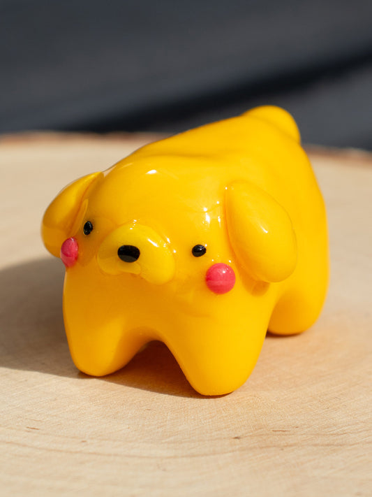 jakub the adventure dog